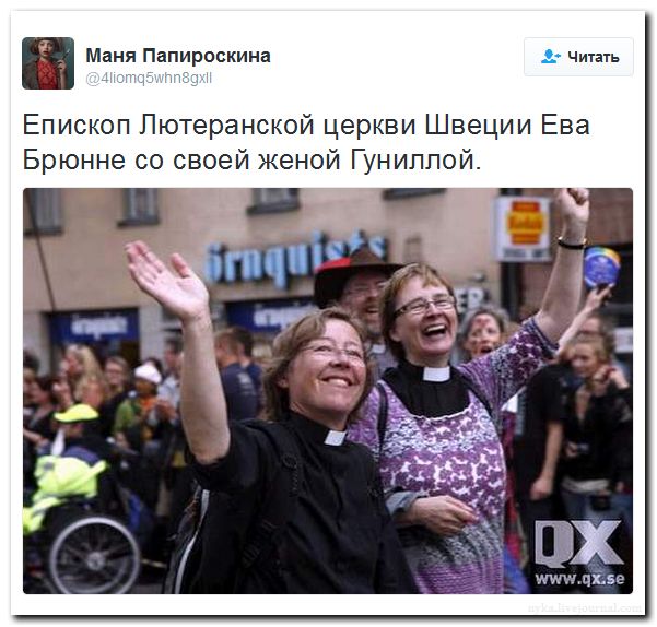 "Мыздобулы" в картинках. Смешных и не очень... 24-07-2016 "Мыздобулы" в картинках. Смешных и не очень... 24-07-2016