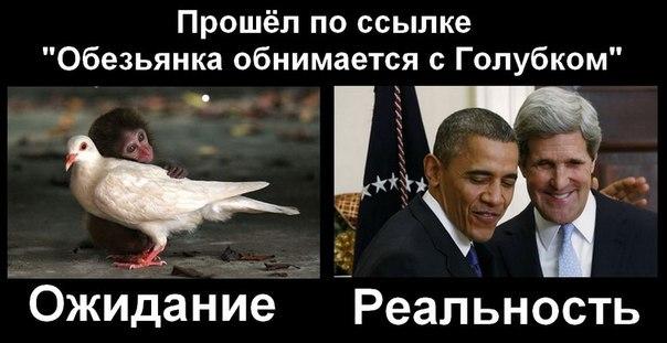 "Мыздобулы" в картинках. Смешных и не очень... 24-07-2016 "Мыздобулы" в картинках. Смешных и не очень... 24-07-2016