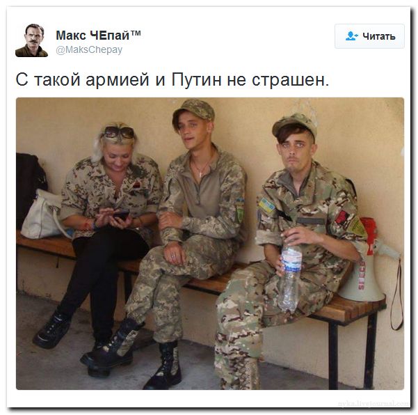 "Мыздобулы" в картинках. Смешных и не очень... 24-07-2016 "Мыздобулы" в картинках. Смешных и не очень... 24-07-2016