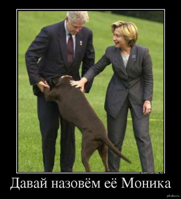 "Мыздобулы" в картинках. Смешных и не очень... 01-07-2016 "Мыздобулы" в картинках. Смешных и не очень... 01-07-2016