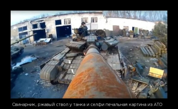 "Мыздобулы" в картинках. Смешных и не очень... 24-07-2016 "Мыздобулы" в картинках. Смешных и не очень... 24-07-2016