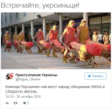 "Мыздобулы" в картинках. Смешных и не очень... 28-10-2016 "Мыздобулы" в картинках. Смешных и не очень... 28-10-2016