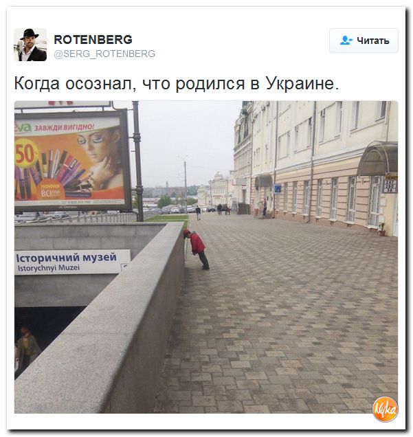 "Мыздобулы" в картинках. Смешных и не очень... 28-10-2016 "Мыздобулы" в картинках. Смешных и не очень... 28-10-2016