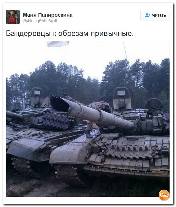 "Мыздобулы" в картинках. Смешных и не очень... 28-10-2016 "Мыздобулы" в картинках. Смешных и не очень... 28-10-2016