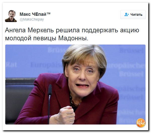 "Мыздобулы" в картинках. Смешных и не очень... 28-10-2016 "Мыздобулы" в картинках. Смешных и не очень... 28-10-2016