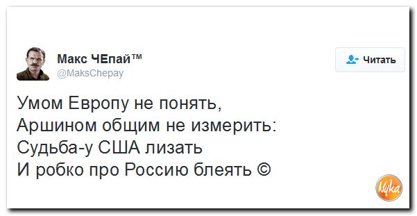 "Мыздобулы" в картинках. Смешных и не очень... 28-10-2016 "Мыздобулы" в картинках. Смешных и не очень... 28-10-2016