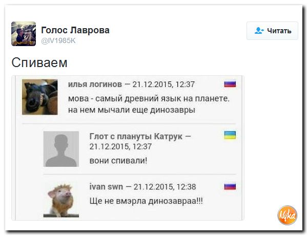 "Мыздобулы" в картинках. Смешных и не очень... 28-10-2016 "Мыздобулы" в картинках. Смешных и не очень... 28-10-2016