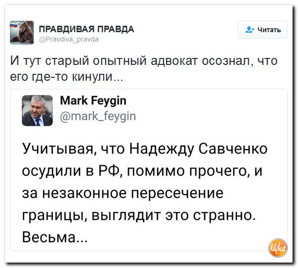 "Мыздобулы" в картинках. Смешных и не очень... 28-10-2016 "Мыздобулы" в картинках. Смешных и не очень... 28-10-2016