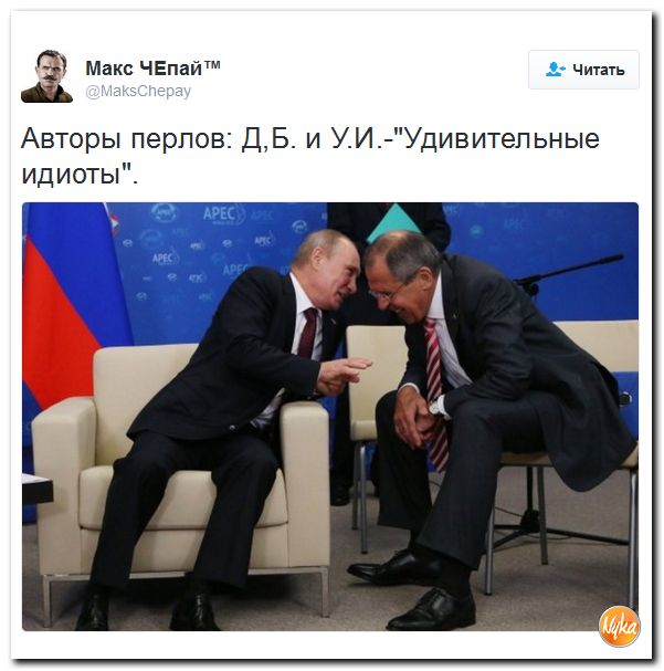 "Мыздобулы" в картинках. Смешных и не очень... 28-10-2016 "Мыздобулы" в картинках. Смешных и не очень... 28-10-2016