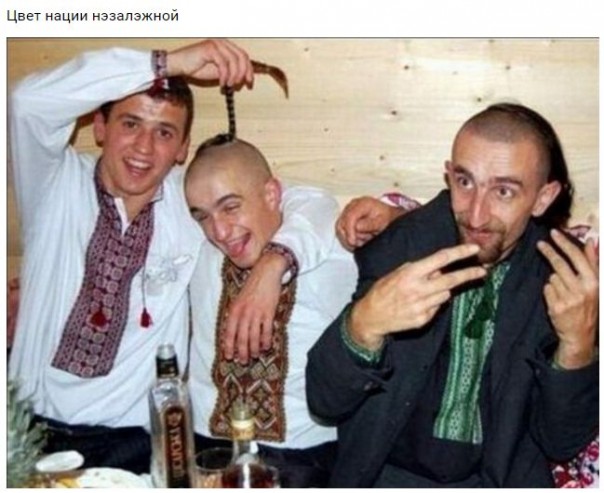 "Мыздобулы" в картинках. Смешных и не очень... 28-10-2016 "Мыздобулы" в картинках. Смешных и не очень... 28-10-2016