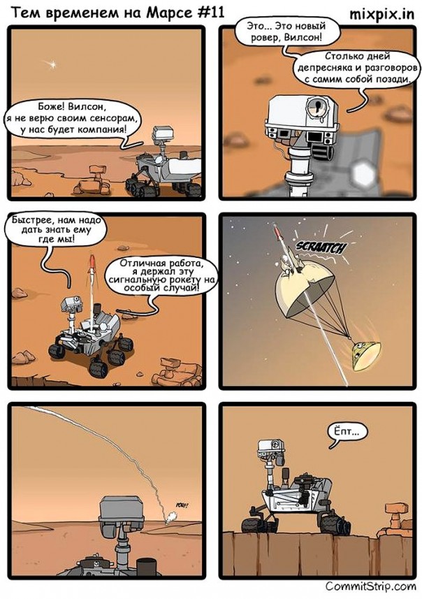 "Мыздобулы" в картинках. Смешных и не очень... 28-10-2016 "Мыздобулы" в картинках. Смешных и не очень... 28-10-2016