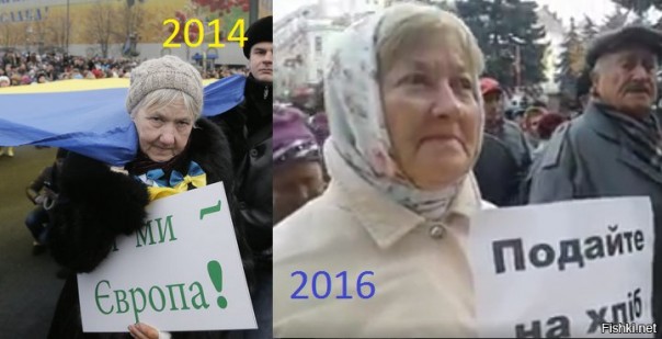 "Мыздобулы" в картинках. Смешных и не очень... 28-10-2016 "Мыздобулы" в картинках. Смешных и не очень... 28-10-2016