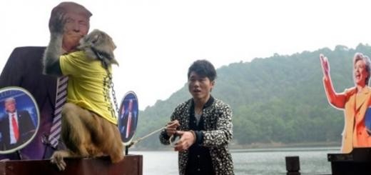 Злобная политинформация 16/16 Злобная политинформация 16/16