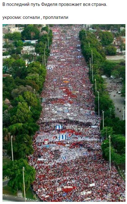 "Мыздобулы" в картинках. Смешных и не очень... 1-12-2016 "Мыздобулы" в картинках. Смешных и не очень... 1-12-2016