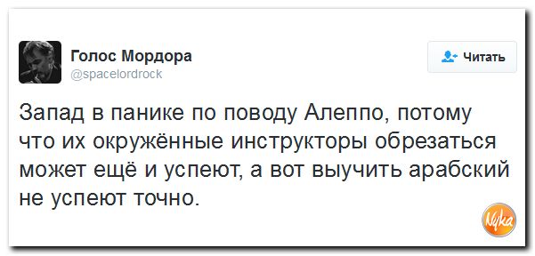 "Мыздобулы" в картинках. Смешных и не очень... 1-12-2016 "Мыздобулы" в картинках. Смешных и не очень... 1-12-2016
