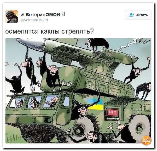 "Мыздобулы" в картинках. Смешных и не очень... 1-12-2016 "Мыздобулы" в картинках. Смешных и не очень... 1-12-2016