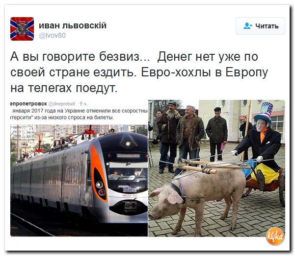 "Мыздобулы" в картинках. Смешных и не очень... 1-12-2016 "Мыздобулы" в картинках. Смешных и не очень... 1-12-2016