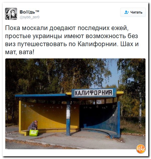 "Мыздобулы" в картинках. Смешных и не очень... 1-12-2016 "Мыздобулы" в картинках. Смешных и не очень... 1-12-2016