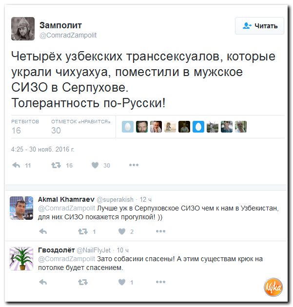 "Мыздобулы" в картинках. Смешных и не очень... 1-12-2016 "Мыздобулы" в картинках. Смешных и не очень... 1-12-2016