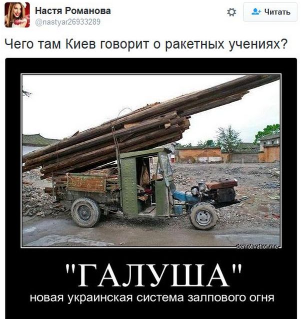 "Мыздобулы" в картинках. Смешных и не очень... 1-12-2016 "Мыздобулы" в картинках. Смешных и не очень... 1-12-2016