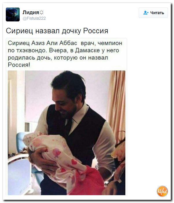 "Мыздобулы" в картинках. Смешных и не очень... 1-12-2016 "Мыздобулы" в картинках. Смешных и не очень... 1-12-2016