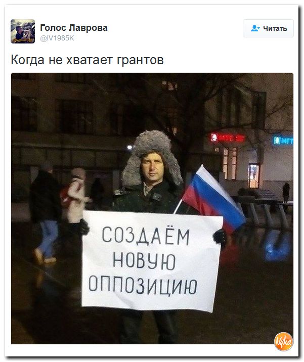 "Мыздобулы" в картинках. Смешных и не очень... 1-12-2016 "Мыздобулы" в картинках. Смешных и не очень... 1-12-2016