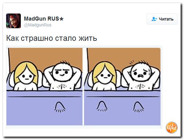 "Мыздобулы" в картинках. Смешных и не очень... 1-12-2016 "Мыздобулы" в картинках. Смешных и не очень... 1-12-2016