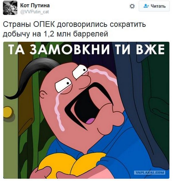 "Мыздобулы" в картинках. Смешных и не очень... 1-12-2016 "Мыздобулы" в картинках. Смешных и не очень... 1-12-2016