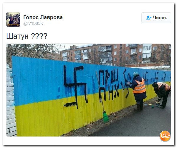 "Мыздобулы" в картинках. Смешных и не очень... 1-12-2016 "Мыздобулы" в картинках. Смешных и не очень... 1-12-2016