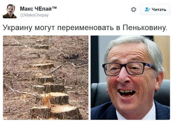 "Мыздобулы" в картинках. Смешных и не очень... 1-12-2016 "Мыздобулы" в картинках. Смешных и не очень... 1-12-2016