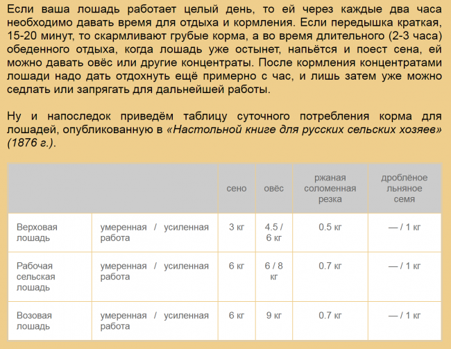 Про монголов-самодуров и про их лошадей с GPS и турбонаддувом
