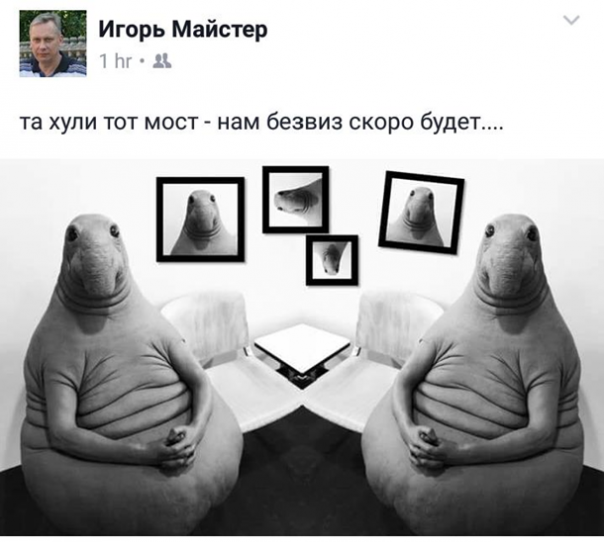 Мы, Гройсман Винницкий...
