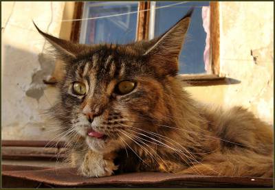 Всех с весной! Всех с весной!