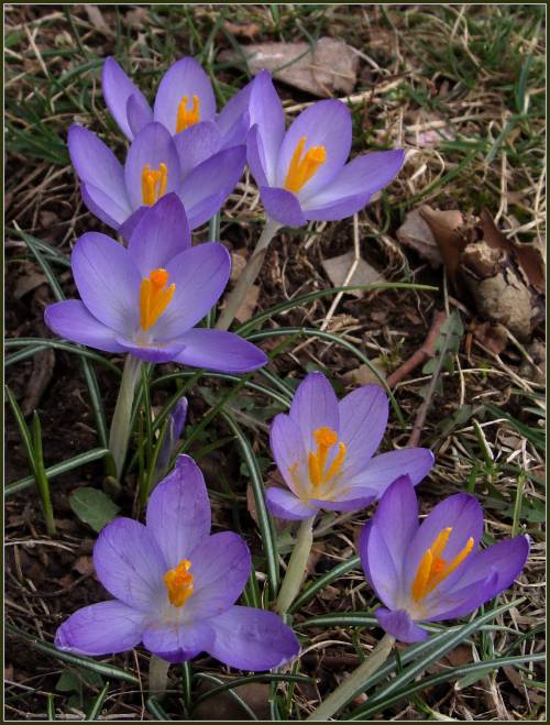 Всех с весной! Всех с весной!