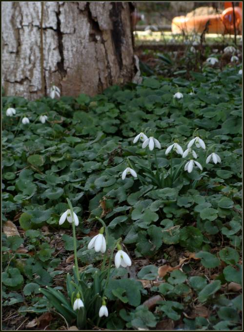 Всех с весной! Всех с весной!