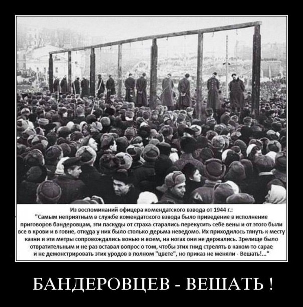 "Мыздобулы" в картинках. Смешных и не очень... 01-03-2017 "Мыздобулы" в картинках. Смешных и не очень... 01-03-2017