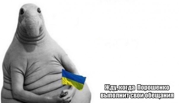 "Мыздобулы" в картинках. Смешных и не очень... 01-03-2017 "Мыздобулы" в картинках. Смешных и не очень... 01-03-2017