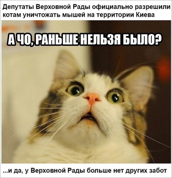 "Мыздобулы" в картинках. Смешных и не очень... 27-03-2017 "Мыздобулы" в картинках. Смешных и не очень... 27-03-2017