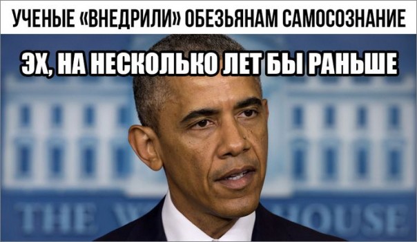 "Мыздобулы" в картинках. Смешных и не очень... 27-03-2017 "Мыздобулы" в картинках. Смешных и не очень... 27-03-2017