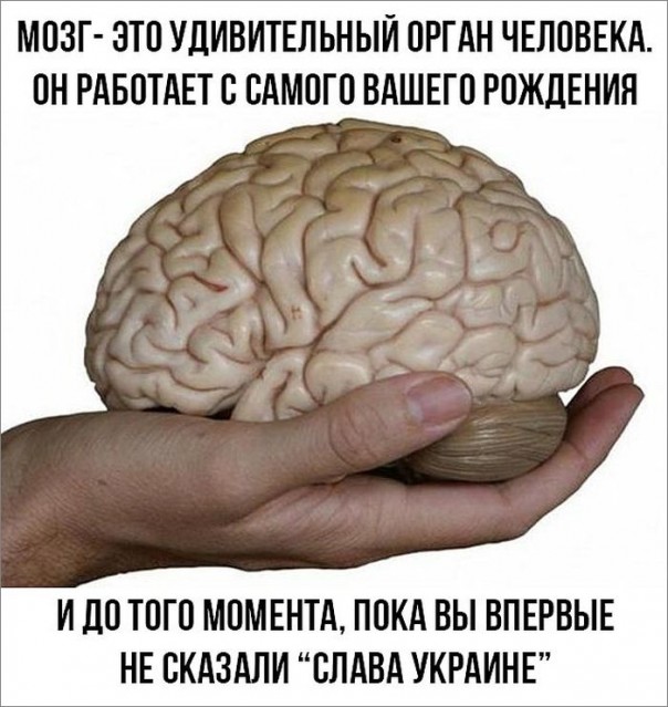 "Мыздобулы" в картинках. Смешных и не очень... 27-03-2017 "Мыздобулы" в картинках. Смешных и не очень... 27-03-2017
