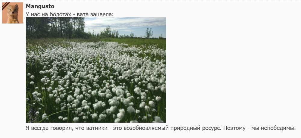 "Мыздобулы" в картинках. Смешных и не очень...30.06.2017 "Мыздобулы" в картинках. Смешных и не очень...30.06.2017