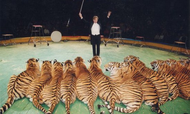 Украинское жлобство как архетип коллективного бессознательного Украинское жлобство как архетип коллективного бессознательного