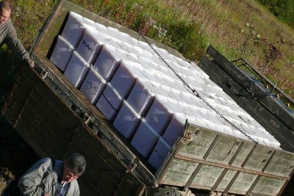 Я и мой кот заплакали….