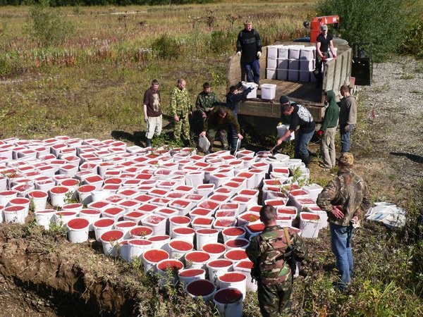 Я и мой кот заплакали….