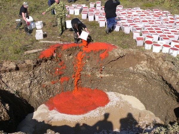 Я и мой кот заплакали….