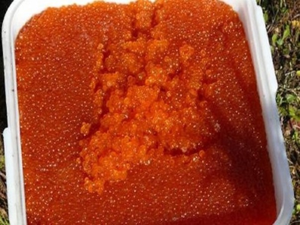 Я и мой кот заплакали….