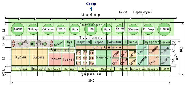 А.В.Росич. Три сотки дачного участка
