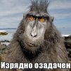 voffkaZ