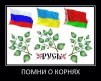Umri_bandera