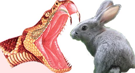 Анализ происходящего на Украине. Частное мнение Анализ происходящего на Украине. Частное мнение